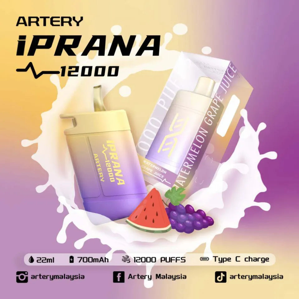 Artery iPrana 12000puffs Disposable